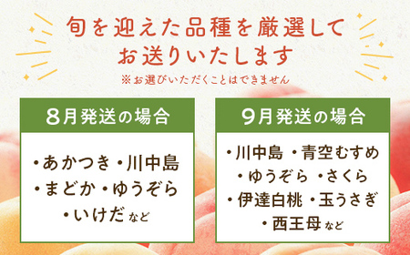 FYN9-731 ≪2026年先行予約≫ ご家庭用 8月発送 山形県産 品種おまかせ 白桃 約3kg(7～13玉) 2026年8月上旬から順次発送 はくとう 桃 もも モモ 果物 くだもの 夏果実 フ