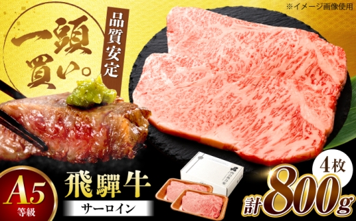 飛騨牛 サーロイン（ステーキ用）800g（200g×4枚）飛騨牛 国産 肩ロース ロース ステーキ 黒毛和牛 和牛 牛肉 BBQ steak 岐阜県 / 御嵩町 / 馬力家 [AVBO079]