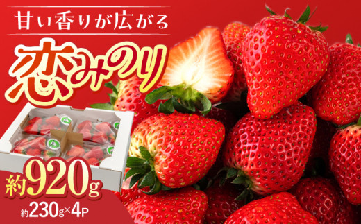 【先行予約】【12月中旬以降発送】大塚ファームのいちご 「恋みのり」230g×4パック ▼ イチゴ 苺 甘い あまい 果物 いちご 先行予約 12月 福岡県産 こいみのり   桂川町/大塚ファーム[ADAB001]