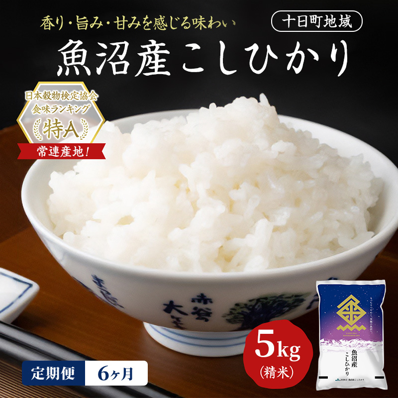 【令和8年産 先行予約】【6ヶ月定期便】魚沼産こしひかり(十日町地域) 精米 5kg 米 お米 コシヒカリ 定期 十日町市