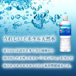 【毎月定期便】バナジウム天然水600ml【24本入】アサヒ飲料全12回【4060655】