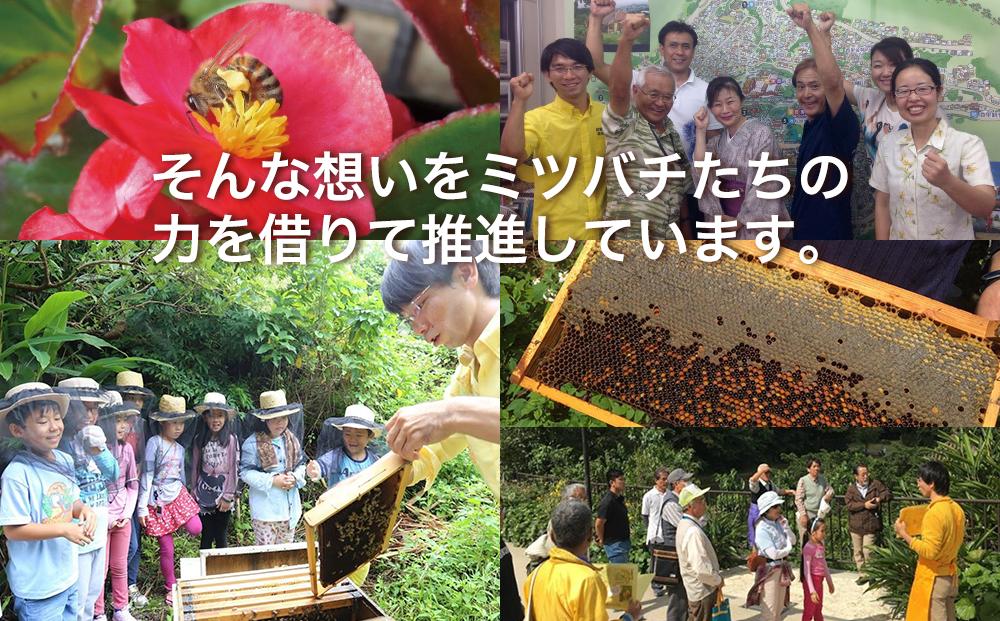 ＜限定＞首里王朝蜂蜜2本入りギフトセット