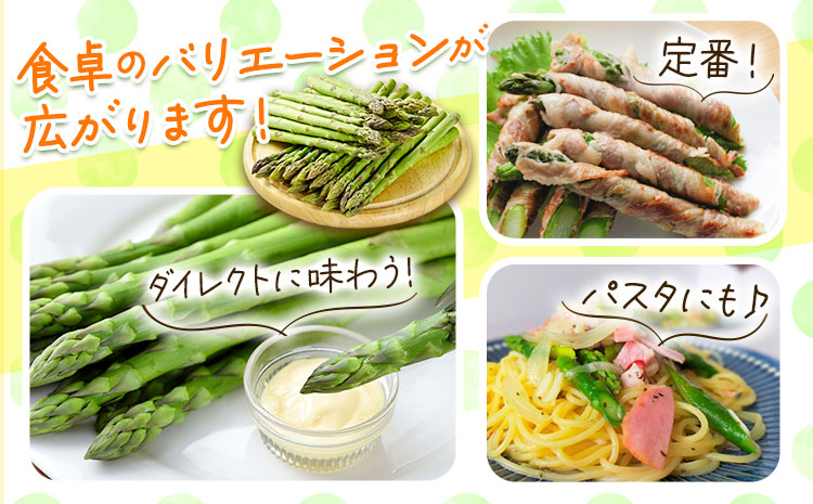 【2026年出荷】アスパラ グリーンアスパラ アスパラガス 約 1kg 2Lサイズ (約30本) なよろ観光まちづくり協会《2026年5月中旬-6月中旬頃出荷予定》北海道 名寄市 送料無料 春 野菜 