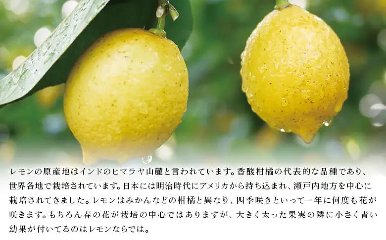 【先行予約】＜無茶々園のレモン 約1kg＋レモンの本＞ フルーツ 果物 くだもの れもん 檸檬 柑橘 香酸柑橘 国産 無茶々園 特産品 愛媛県 西予市【常温】『2027年1月～3月までに順次出荷予定』