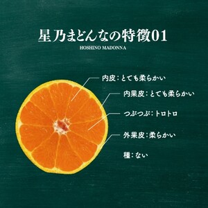【訳あり】2024年先行受付 星乃みかん園の 星乃まどんな(5kg)【D45-62】【1339328】