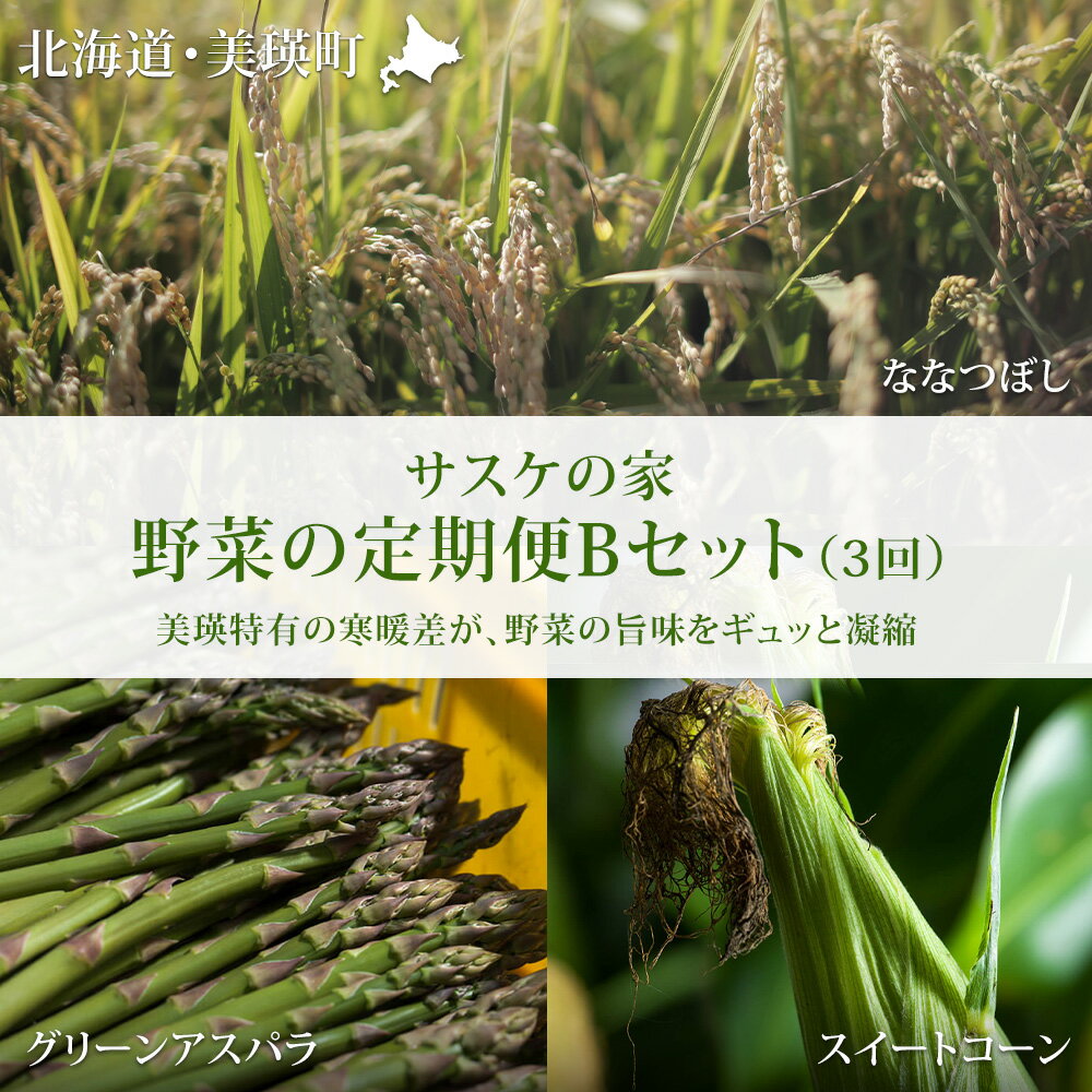 【ふるさと納税】 野菜 定期便 Bセット 3ヶ月 ≪令和8年産予約受付！≫ 送料無料 | アスパラ アスパラガス とうもろこし とうきび スイートコーン ななつぼし 3回 米 新米 北海道 北海道美瑛 北海道美瑛町 美瑛町 美瑛産野菜 野菜の定期便 サスケの家 定期便[041-11]