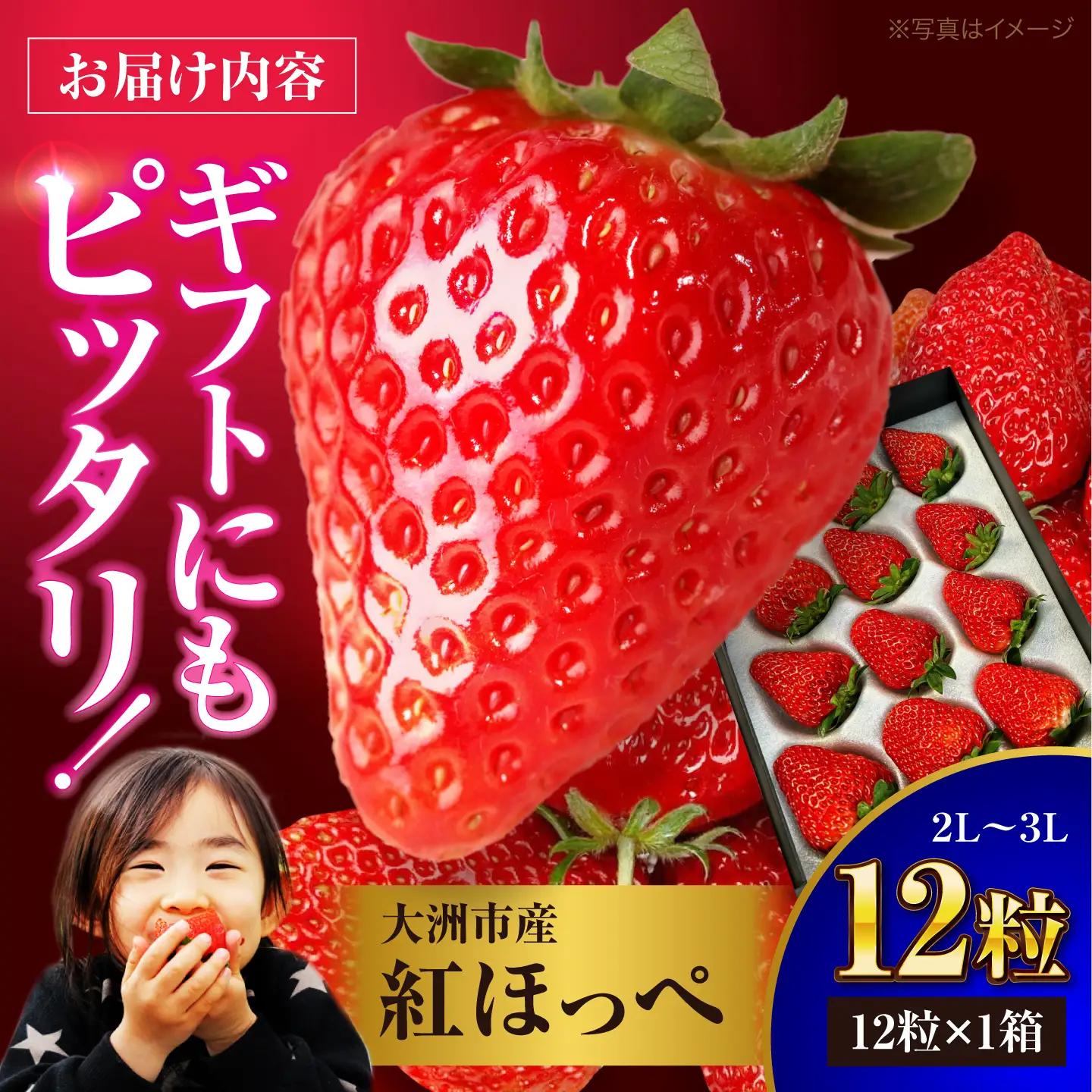 いちご いちご 12粒（1箱）[AGAR026]