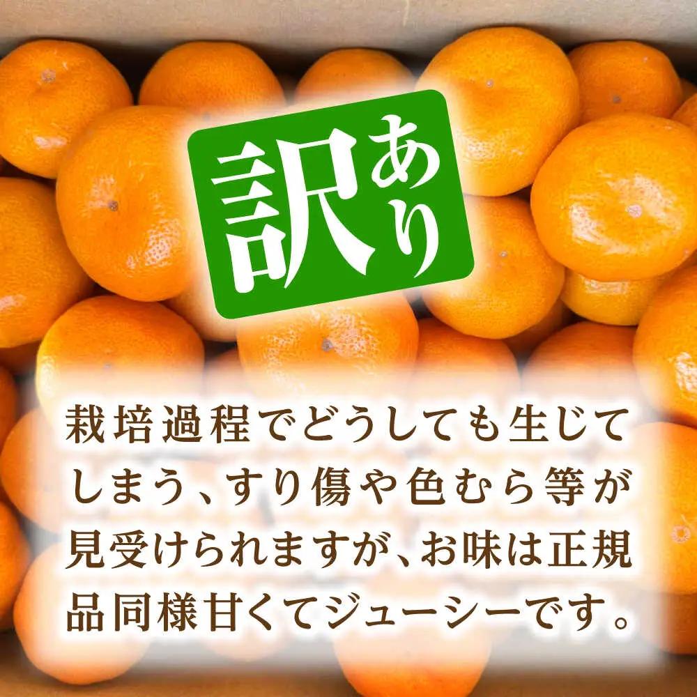 【先行予約】 訳あり 温州みかん 『白川』 約5kg S～Lサイズ 【奥村果実園】[ZFK003]