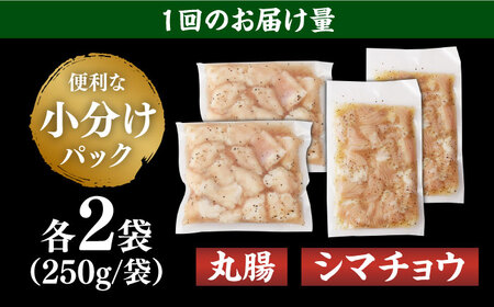 【全3回定期便】【塩だれ味】九州産和牛 ホルモン 2種 計1kg（ シマチョウ 250g×2袋・ 丸腸 250g×2袋） 長与町/岩永ホルモン[EAX151] / ホルモン 丸腸 ホルモン シマチョウ