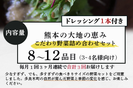 【定期便3回】熊本の大地の恵み≪ 野菜で野菜を食べる ≫ 旬のこだわり 野菜 ＆ドレッシング セット (3〜4名様向け) 野菜 獲れたて 8～12品 直送 旬 新鮮 定期便 野菜ドレッシング 詰め合わ