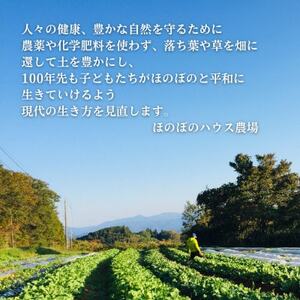 【畑から直送】岡山美作産　旬を楽しみ味覚を育む野菜約8種(約5kg)【配送不可地域：離島】【1524200】