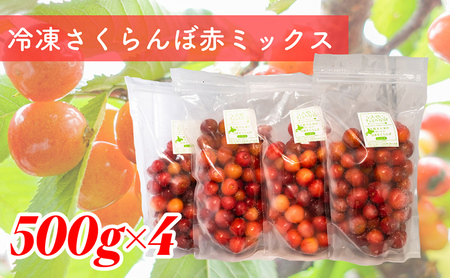 冷凍 さくらんぼ 500g×4パック 赤ミックス 大橋さくらんぼ園 サクランボ チェリー 果物 果物類 フルーツ デザート 完熟 急速冷凍 新鮮 美味しい 人気 冷凍配送 北海道 芦別市