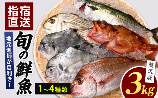 【指宿産直便】漁師が選ぶ季節の鮮魚便  贅沢セット(指宿山川水産/022-1092) 鹿児島 魚 鮮魚 魚介 旬 お刺身 お寿司 煮付 料理 国産