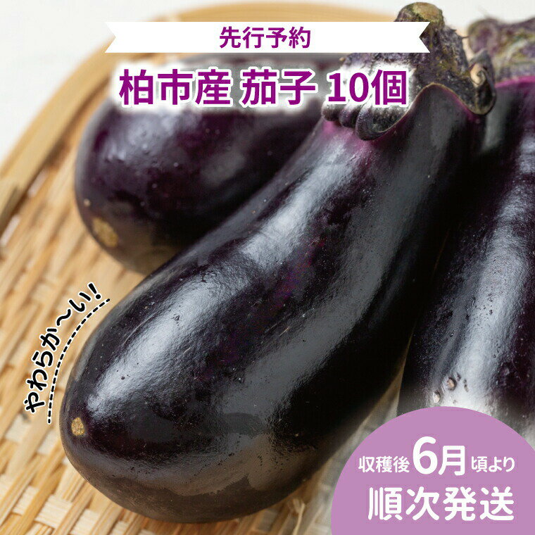 【ふるさと納税】【オンライン決済限定】柏市産 やわらか茄子 10個 〈先行予約 2026年6月順次発送〉 なす ナス 野菜 セット 国産 千葉県産 新鮮 旬 産地直送 おすすめ 夏野菜 煮物 揚げ物 浅漬け 　お届け：2026年6月1日～7月31日まで