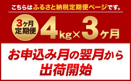 3ヶ月定期便 うまかポーク 切り落とし2.8kg+ミンチ1.2kgセット《お申込み月の翌月から出荷開始》｜豚肉豚肉豚肉豚肉豚肉豚肉豚肉豚肉豚肉豚肉豚肉豚肉豚肉豚肉豚肉豚肉豚肉豚肉豚肉豚肉豚肉豚肉豚肉豚