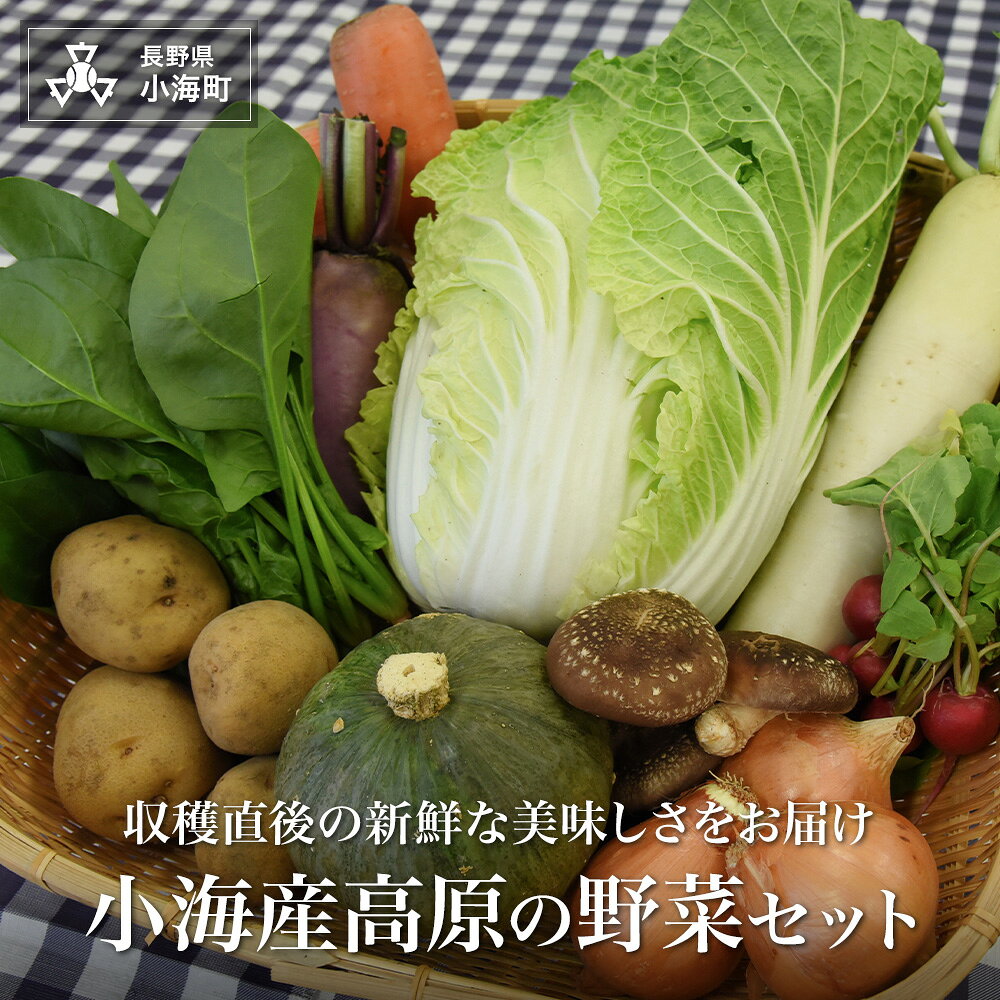 【ふるさと納税】直売所厳選！小海産高原の野菜セット| 野菜 新鮮 旬 新鮮 高原野菜 根菜数量限定 季節の味 旬 採れたて おすすめ野菜 直売所直送 長野県小海町