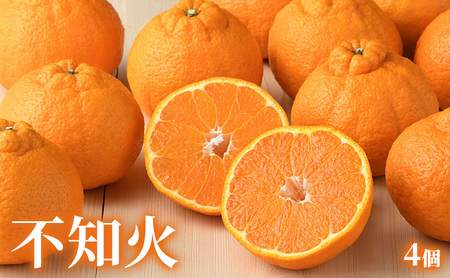 【2026年2月発送】 旬のフルーツ詰合せ いちご＆不知火 紅ほっぺまたはきらぴ香 約260g1パック 不知火4個約800g しらぬい デコ 苺 ミカン 【配送不可：離島】 フルーツセット 静岡 浜松