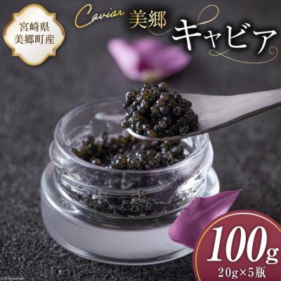 ふるさと納税 美郷町 美郷 キャビア チョウザメ 100g 宮崎キャビア 宮崎県 美郷町 きんかん [31az0017]