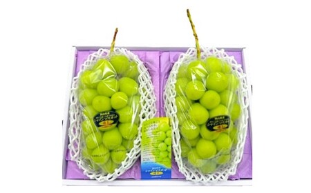 シャインマスカット 晴王 2房 （1房480g以上） 化粧箱入り 【2026年8月下旬～11月上旬迄発送予定】／ マスカット 葡萄 ぶどう 果物 果実 フルーツ 種なし 皮ごと 大粒 岡山県 美咲町 