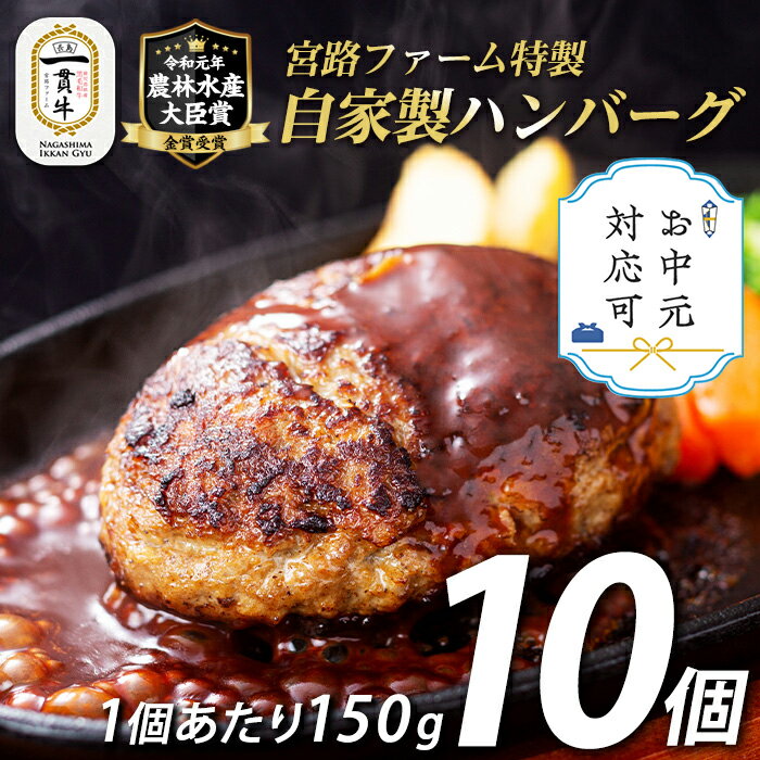 【ふるさと納税】《お中元対応可》鹿児島県産合挽き肉使用 自家製ハンバーグ計10個(1個150g)国産 鹿児島 ハンバーグ 冷凍 セット 詰め合わせ 惣菜 肉 合い挽き 合挽 豚肉 牛肉 肉 加工品 小分け 個包装 おかず【宮路ファーム】f-miyaji-1209-03A