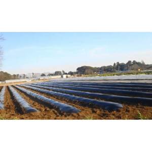 ≪畑から直送≫旬の野菜10種セット【配送不可地域：離島】【1290013】