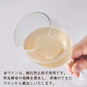新潟産弥彦ブリューイング白泡2024年(果実酒:発泡性)750ml【1573643】
