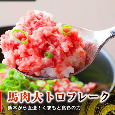 ふるさと納税 高森町 【国産馬刺し】熊本直送　上霜降り(トロ)400g+フレーク300g(高森町) |  | 01