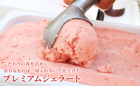いちごジェラートセット 冷凍いちご ありすふぁーむ いちごジェラートセット【冷凍いちご1kg付】【冷凍】