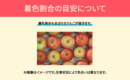 りんご 品種おまかせ 5kg 色むら 傷あり へこみ 変形 昂林 シナノスイート サンふじ ◯秀 無印 2024年産 令和6年産 ※沖縄・離島への配送不可 ja-ri3kx5