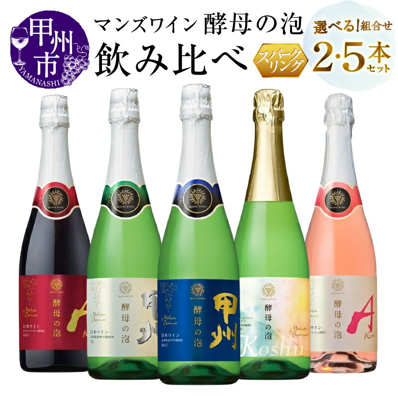 【ふるさと納税】 ワイン 赤 白 ロゼ 選べる お届け内容 2本 5本 720ml 750ml 飲み比べ スパークリング 酵母の泡 ルージュ 甲州 ブリュット ドゥミ・セック マスカット・ベーリーA 辛口 やや甘口 母の日 父の日 記念日 ギフト 贈答 プレゼント 山梨県 甲州市 （MG）