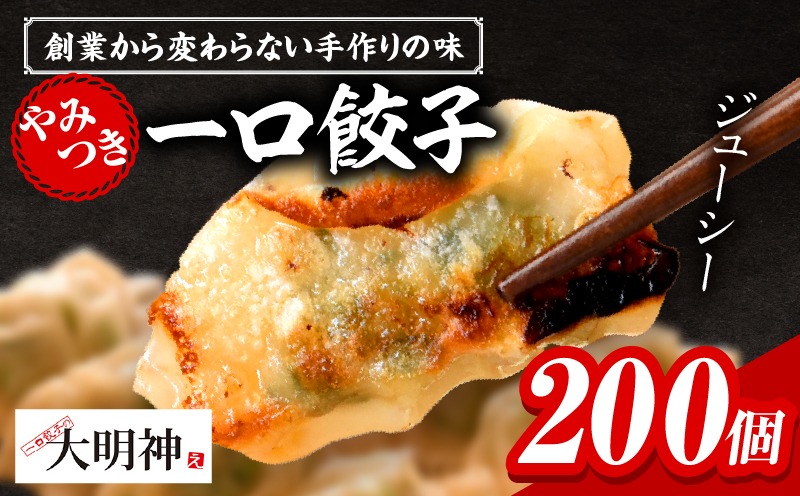 一口餃子 200 個入りタレ４個_kn107-003