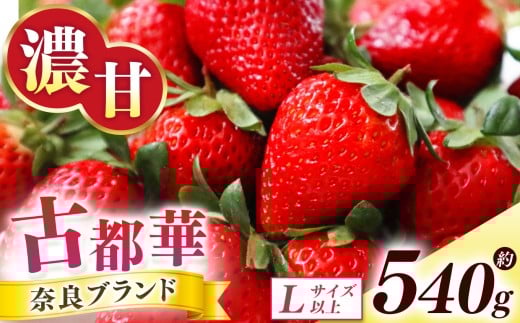 古都華 約540g （270g×2P）Lサイズ以上 | フルーツ くだもの 果物 いちご イチゴ ことか コトカ 古都華 オリジナル 糖度 酸味 希少 贈り物 ご褒美 奈良県 五條市