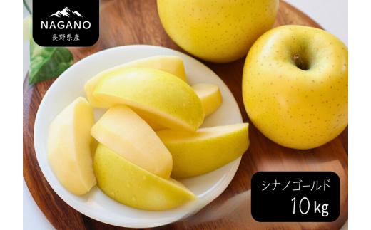 MS13-25A りんご シナノゴールド（長野県産秀品） 約10kg / 2025年10月下旬～11月下旬頃 配送予定 // 長野県 南信州 リンゴ 林檎 贈答 黄色りんご シナノ ゴールド りんご三兄弟