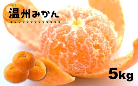 温州みかん 5kg 【熊本玉名・みかん専門店より】 | フルーツ 果物 くだもの 柑橘 ミカン みかん 玉名 たまな 熊本県 玉名市