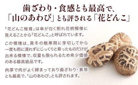 最高級 大分県産 花どんこ椎茸 260g 花どんこ 山のあわび 乾燥椎茸 乾燥 しいたけ 干し椎茸 乾し椎茸 乾燥野菜 大分県 津久見市 九州産野菜