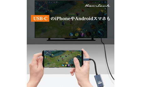USBC HDMI1.4変換アダプタ HT-CH44GY AOP0035