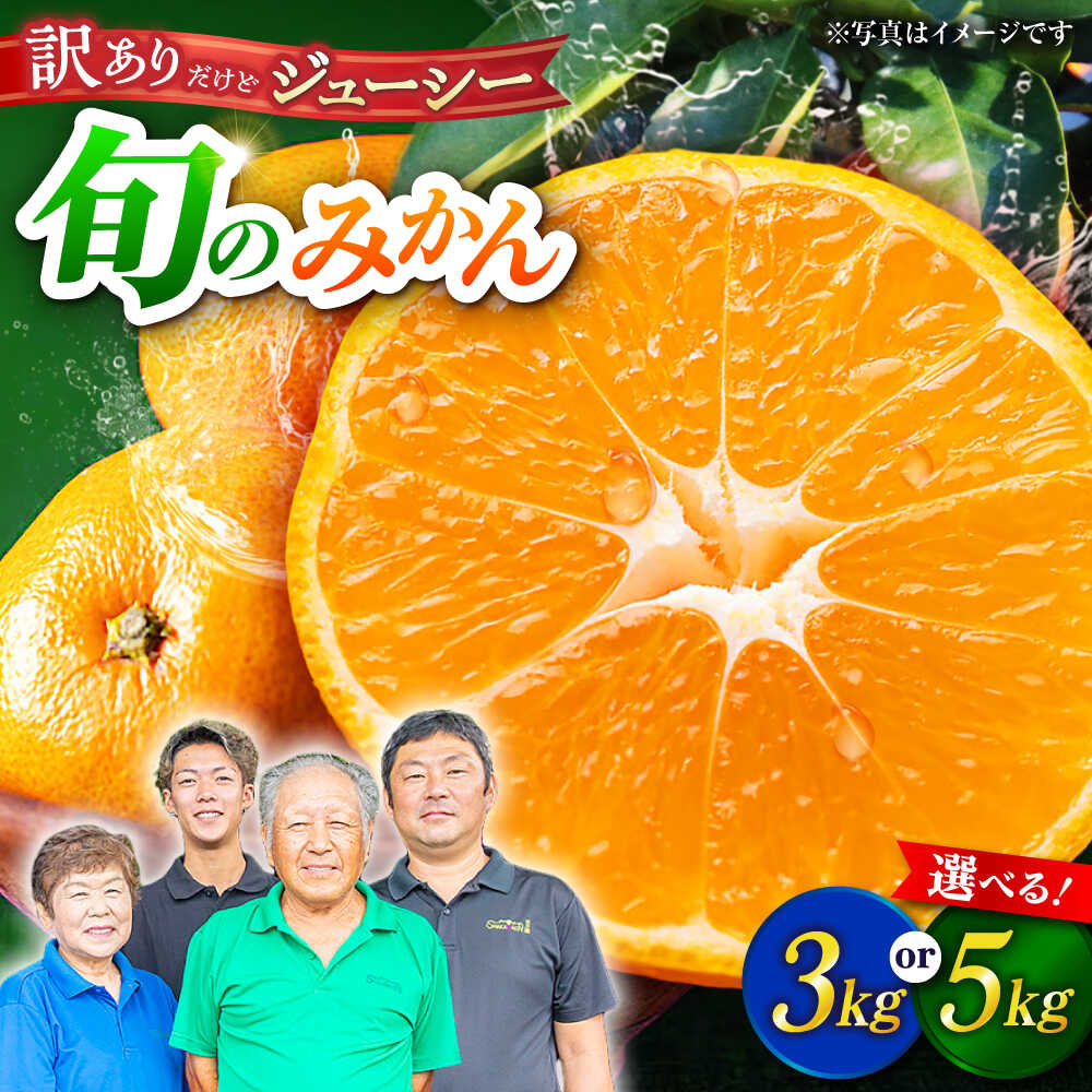 【ふるさと納税】【先行予約】【訳あり】〈選べる容量！〉家庭用 みかん 約3～5kg 詰め合わせ 柑橘【合同会社 社方園】[ZBZ021] ミカン 蜜柑 温州 うんしゅう 産地 柑橘 果物 くだもの フルーツ 人気 ランキング 旬 季節 産地直送 国産 熊本県 送料無料