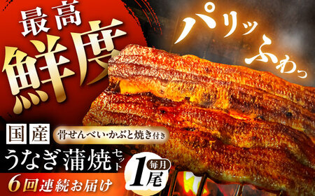 【6回定期便】 国産うなぎ 蒲焼 1尾 多幸八[AWBL008] うなぎ