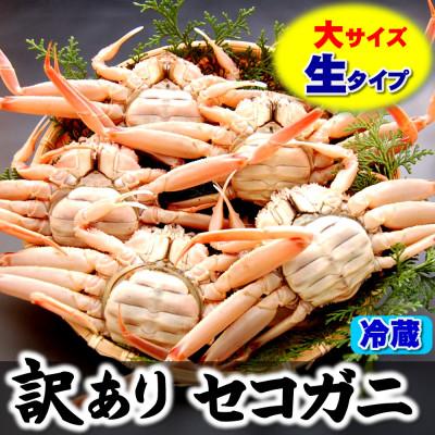 ふるさと納税 新温泉町 松葉ガニの本場　訳あり・生セコガニ(冷蔵)大サイズ　5枚　兵庫県新温泉町　