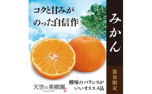 【先行受付】天空の果樹園から届くそらみかん (3kg)【A95-7】【1668512】 YWTAQ007