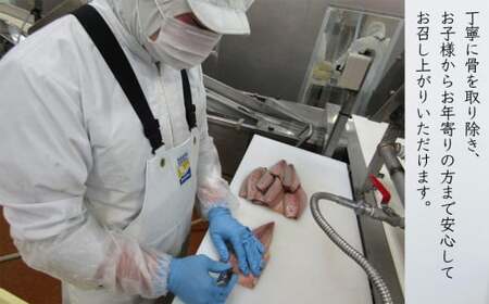 金華さば 鯖 冷凍 鯖フィレ さばフィレ 骨取り 骨なし 5枚 個包装 小分け サバ金華 サバ 金華鯖 無塩 さば 無塩 切身 さばフィレ サバフィレ