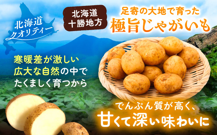 北海道産 じゃがいも きたあかり 10kg（LM混合）《足寄町》【党崎農場】ジャガイモ じゃがいも 国産 野菜 ポテト 芋 イモ いも 肉じゃが カレー キタアカリ きたあかり 道産 寒冷地 あしょろ