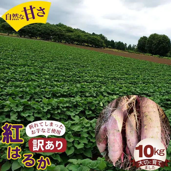 【訳あり】紅はるか10kg No.395