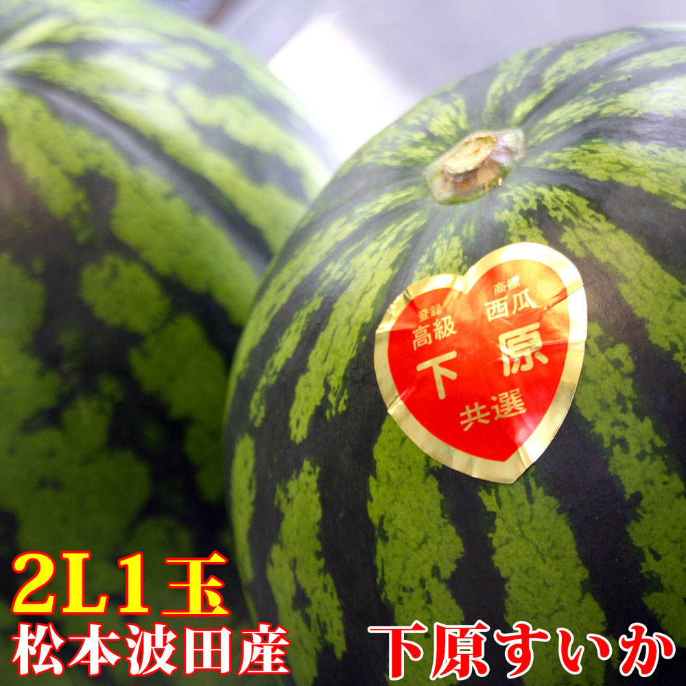信州松本波田産「下原すいか」2L【先行受注★出荷時期：2023年7月中旬頃～】