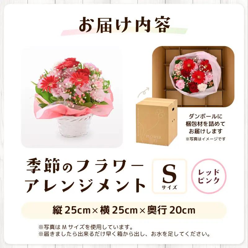 季節のフラワーアレンジメント S (レッド・ピンク) 花束 生花 プレゼント [A-20711_01]