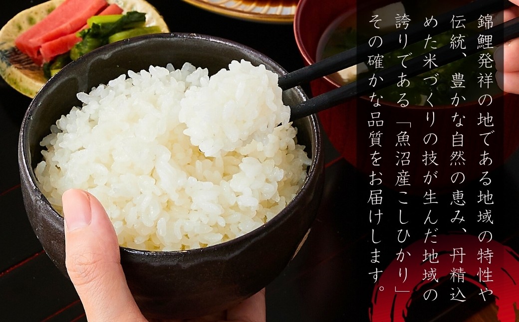 雪国小千谷（おぢや）から贈る自然と匠の最高傑作 魚沼産コシヒカリ