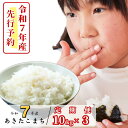 【ふるさと納税】《令和7年産新米先行予約・9月ごろよりお届け開始》【3回定期便】R7年産 あわくら源流米 あきたこまち 白米10kg×3_K-bg-BEZA