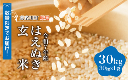 ＜数量限定＞ 令和7年産 はえぬき 【玄米】 30kg （30kg×1袋） 山形県真室川町 ＜沖縄県・離島配送不可＞　◆SR7H30M-G9999