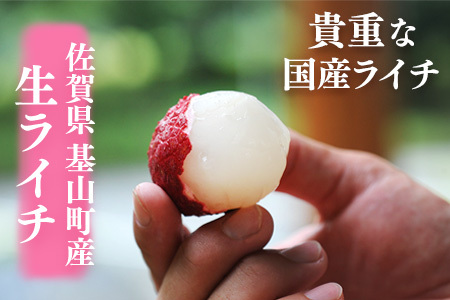 【先行受付】佐賀県産ライチ 1kg(贈答用)【生ライチ ライチ 生 基山町産 贈答用 貴重 国産 新鮮 フレッシュ 肉厚 シャーベット 1ｋｇ お中元 贈り物】 B5-F060001