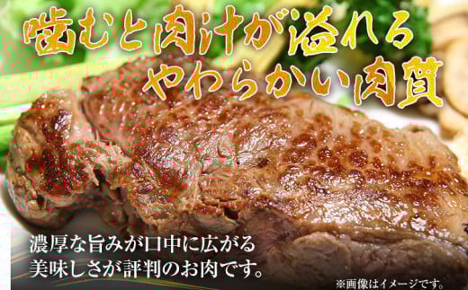 博多和牛ヒレステーキ 450g（150g×3枚） 黒毛和牛 お取り寄せグルメ お取り寄せ お土産 九州 福岡土産 取り寄せ グルメ MEAT PLUS CP029